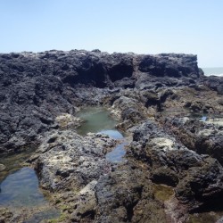Vasques découvertes à marée basse sur le Petit-Connétable (Crédits : RNNC)